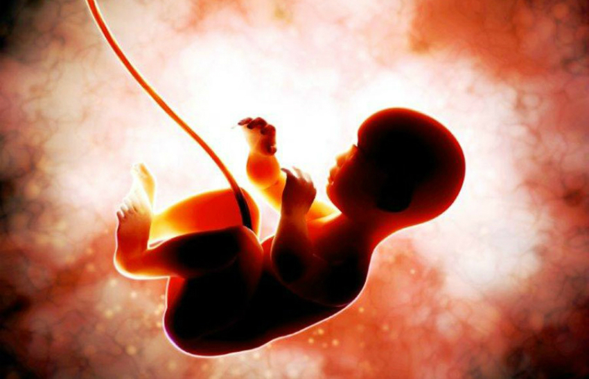 8 Maddede Kordon Kanı Bankası