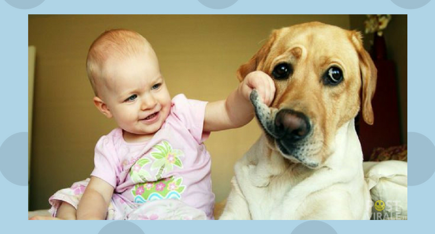 Bebekli, Kedili, Köpekli, Kuşlu, Komikli, Tatlılı 15 Fotoğraf