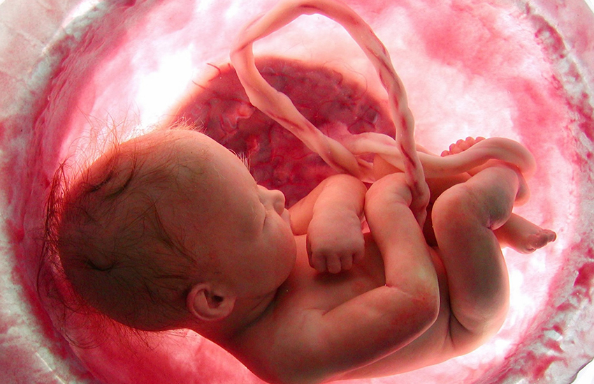 Hamilelikte Yaşanan Göbek Kordonu Sorunları Neler?