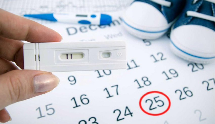 16 Günlük Hamilelik