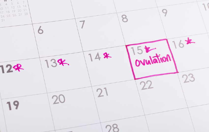 8 Günlük Hamilelik