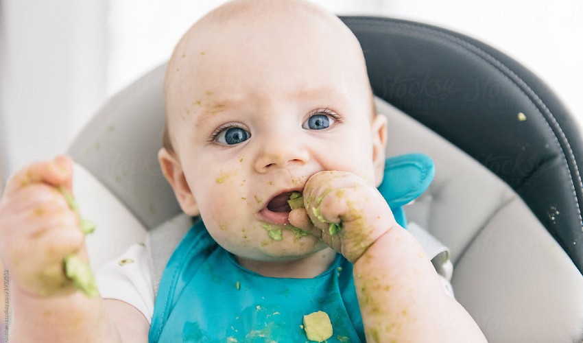 Bebeklere Avokadolu Tarifler