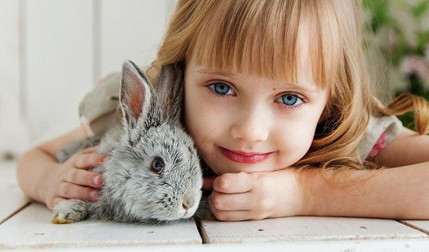 Çocuklara Hayvan Sevgisi Nasıl Aşılanır?