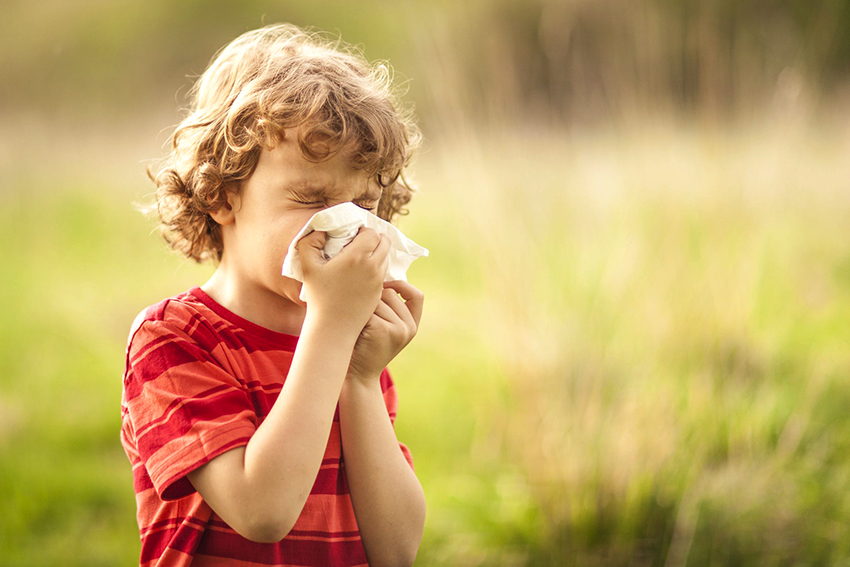 Çocuklarda ve Bebeklerde Alerjik Rinit Neden Olur?