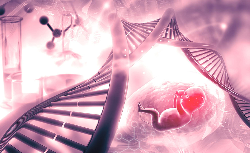Fetal DNA Testi Nedir, Neden Yapılır?