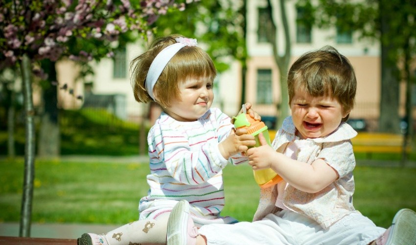 Kardeş Kavgasını Önlemenin 10 Yolu