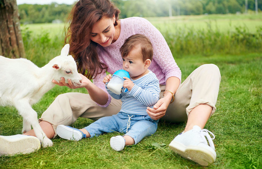 Keçi Sütü Bebeklere Ne Zaman Verilir?
