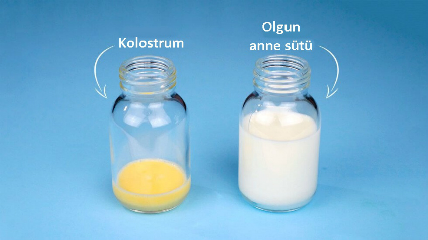 Kolostrum (Ağız Sütü): Bebeğinin İlk Yemeği!