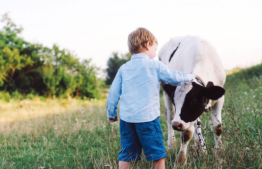 Kurban Bayramı Çocuğa Nasıl Anlatılmalı?