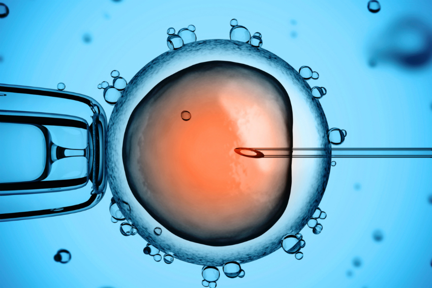 Mikroenjeksiyon (ICSI) Nedir: 6 Soruda Cevapladık!
