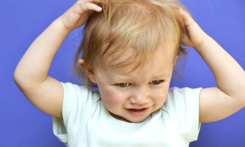 Pire Isırığı Nasıl Olur, Pire Isırığına Ne İyi Gelir? Pire Isırığı Görüntüsü Nasıl?