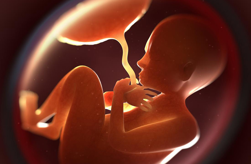 Plasenta Yaşlanması (Kireçlenmesi) Neden Olur?