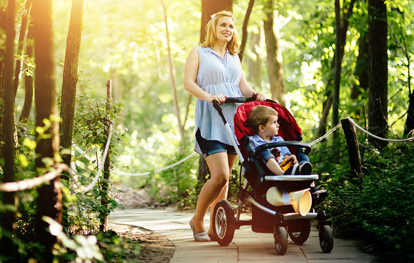 Prego Bebek Arabası İncelemesi: Öne Çıkan 8 Model