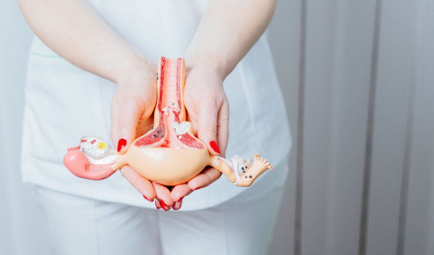 Yumurta Rezervi ve Doğurganlığa Etkileri