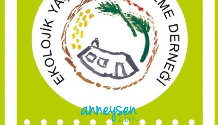 https://i.anneysen.com/gallery/109/1491810490.jpg