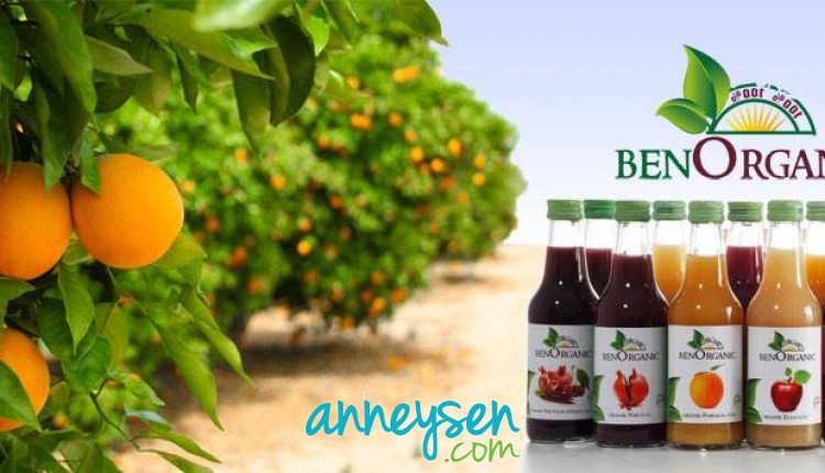 https://i.anneysen.com/gallery/109/1491810492.jpg