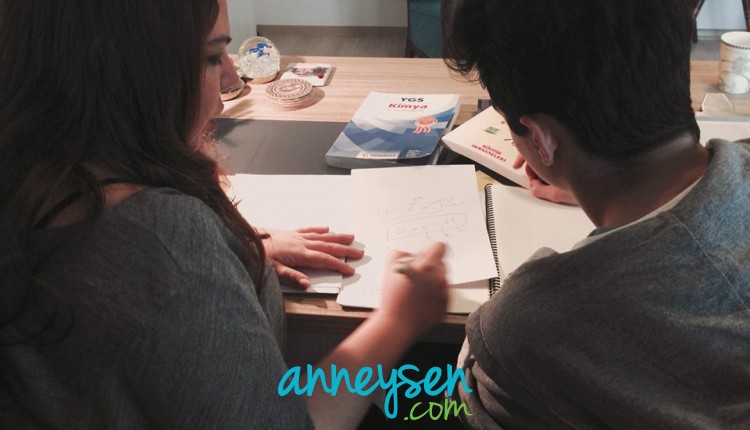 https://i.anneysen.com/gallery/12/1491463661.jpg