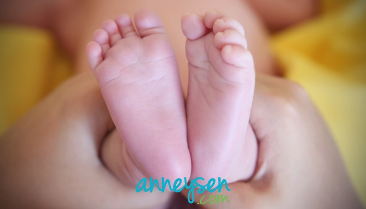 https://i.anneysen.com/gallery/1661/6141cb66eb4714b72481e16a7311bc91.jpg