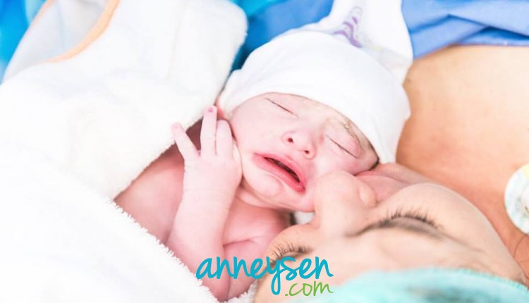 https://i.anneysen.com/gallery/1676/c400e9ef9c4440e6d8b5c0bcaa4e6e66.jpg