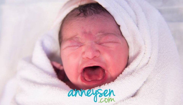 https://i.anneysen.com/gallery/1679/298b4e8690cc2baa8cbeb2653fc03af0.jpg