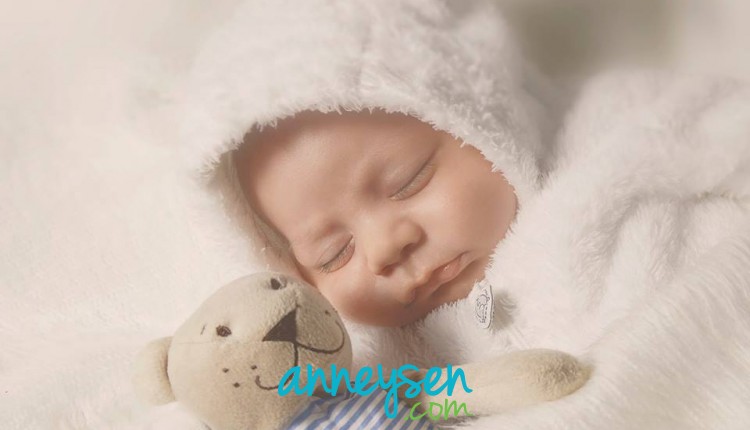 https://i.anneysen.com/gallery/1679/6cb3c4fff96b3b916e6fd5315eb662bb.jpg