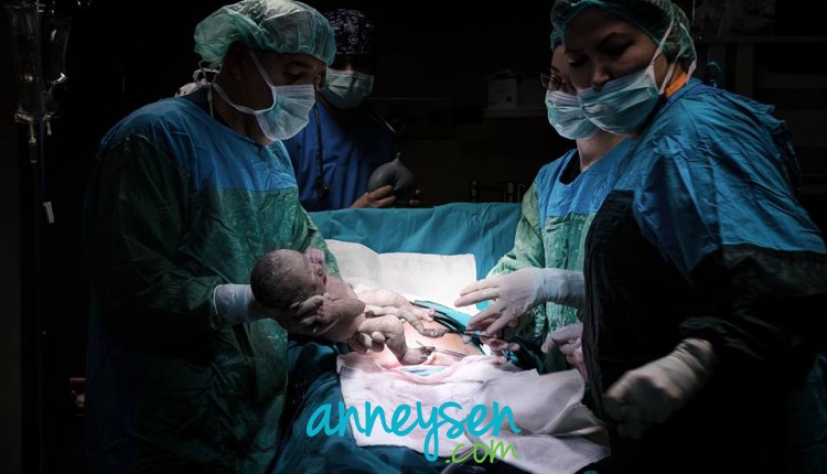 https://i.anneysen.com/gallery/1679/84f74d78fa1548986eb1556590c9d4f0.jpg