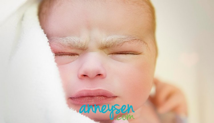 https://i.anneysen.com/gallery/1679/ce802d8f12d5576219486cd39ebc5ed1.jpg