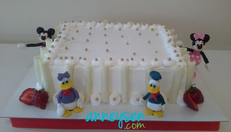Nil�s Pasta 1 Yaş Doğum Günü Butik Pasta Ankara Anneysen