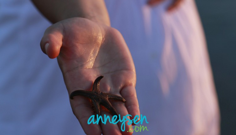 https://i.anneysen.com/gallery/3742/1509564708.jpg