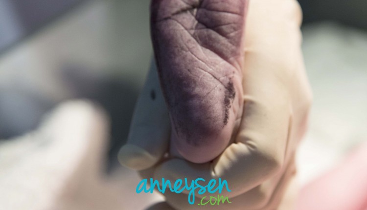 https://i.anneysen.com/gallery/3742/1509568427.jpg