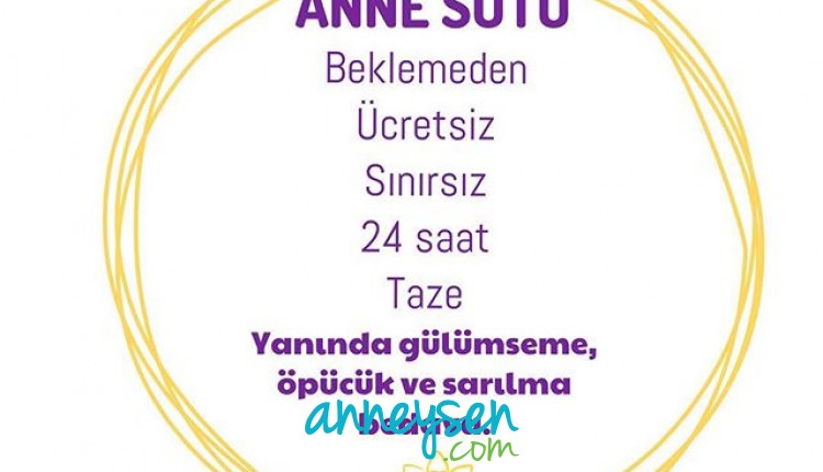 https://i.anneysen.com/gallery/3826/1510003018.jpg