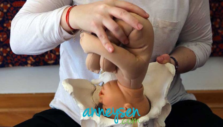 https://i.anneysen.com/gallery/3826/1510003073.jpg