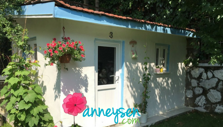https://i.anneysen.com/gallery/3977/1511125413.png