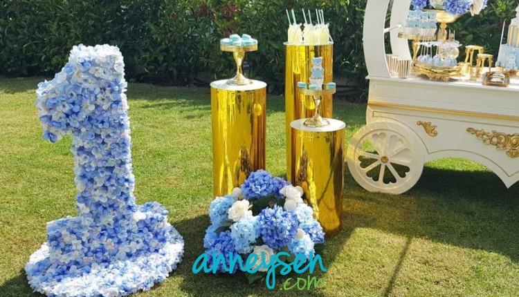 https://i.anneysen.com/gallery/4079/1513624859.jpg