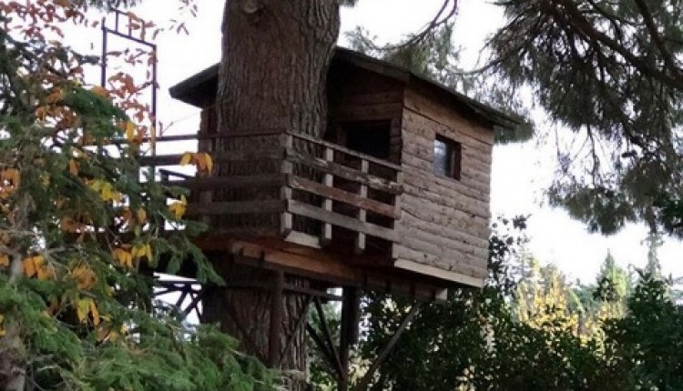 https://i.anneysen.com/gallery/4674/1560858410.jpg
