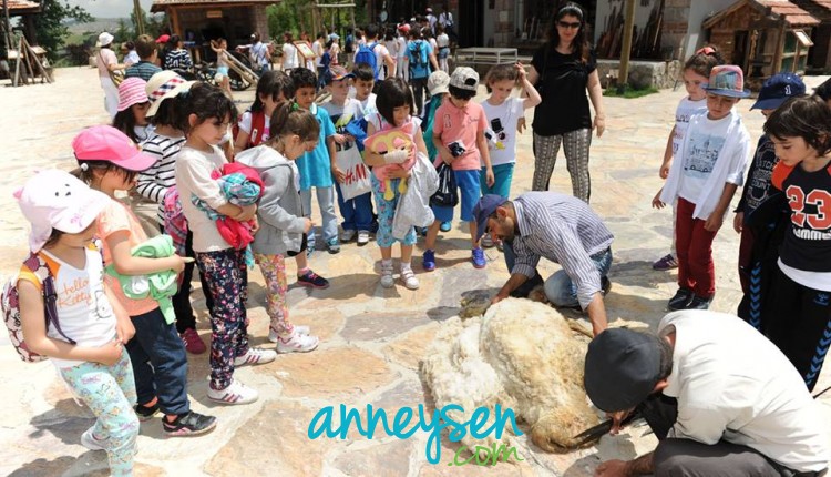 altınköy açıkhava müzesi