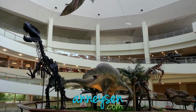 mta tabiat tarihi müzesi