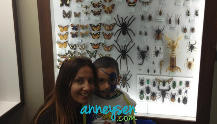 https://i.anneysen.com/gallery/678/986964f668425cfabf62c772b3635ca3.jpg