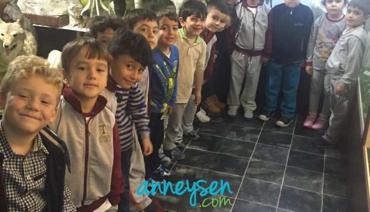 https://i.anneysen.com/gallery/678/996e12d8a9f9ce0cbf7d2c57ac1dbc83.jpg