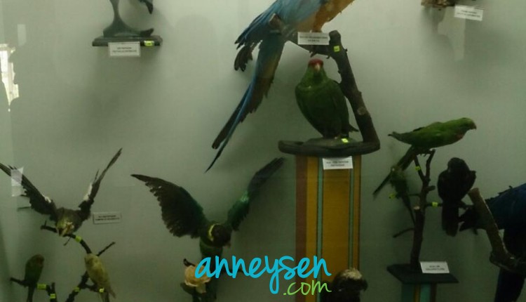 https://i.anneysen.com/gallery/678/f223bd5468b5504e38148c25195ed070.jpg