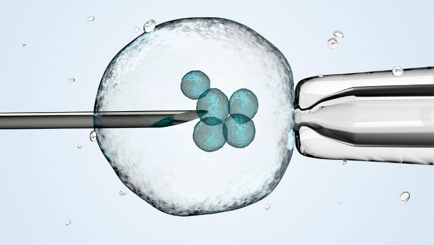 Kaç canlı sperm hücresi olduğunu biliyor musun Kaç canlı sperm hücresi olduğunu biliyor musun