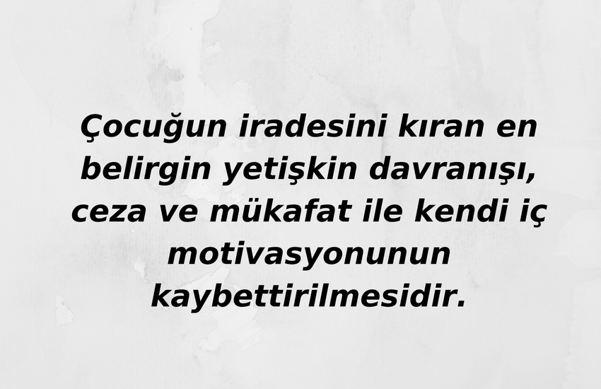 adem güneş 2 yaş çocuğuna nasıl davranmalı adem güneş