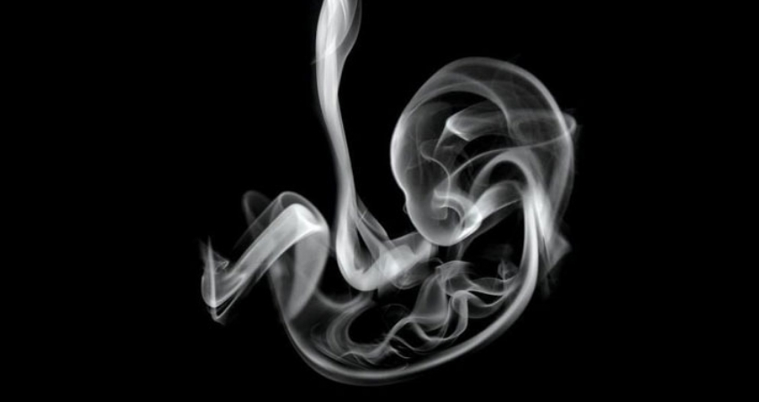 Hamile bir insan sigara içerse ne olur