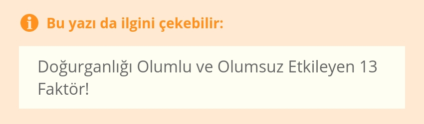 Kendi ellerindeki çiçekler: oluklu kağıttan yapılmış bir orkide Kendi ellerindeki çiçekler: oluklu kağıttan yapılmış bir orkide