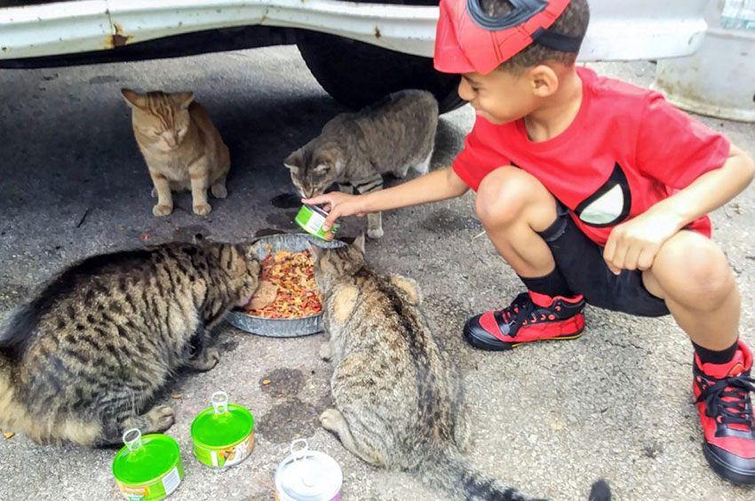 Anasınıfı etkinlikleri anasınıfı için etkinlikler