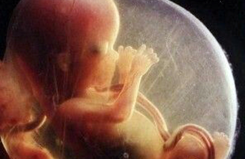 Anne karnında bebek cinsiyeti Anne karnında bebek cinsiyeti değişir mi