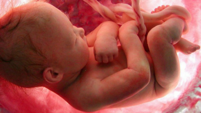 Anne karnında bebek ne zaman baş aşağı döner Bebek anne karnında nerede durur