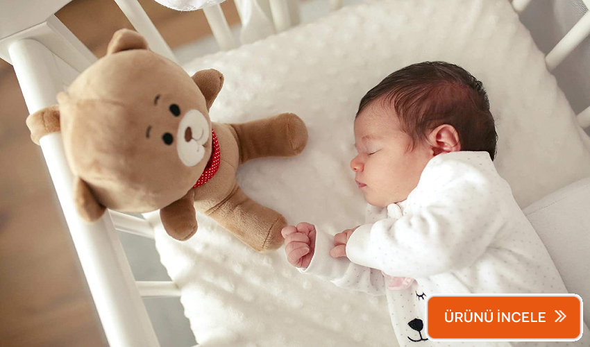 Budizz uyku arkadaşı