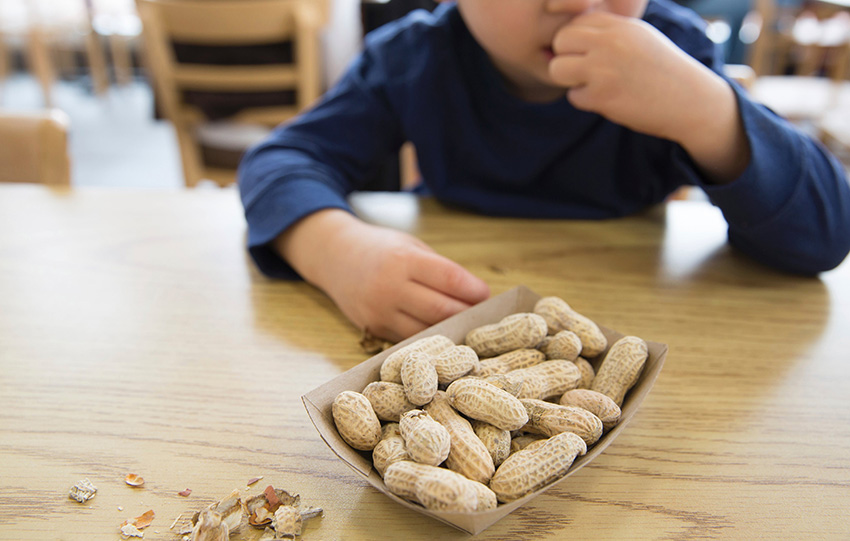Çocuğa kilo aldıran yiyecekler çocuklara kilo aldırıcı besinler