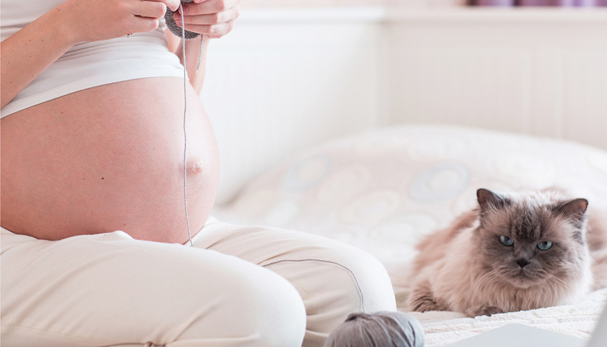 Hamilelikte alerjiden korunmanın yolları Hamilelikte alerjiden korunmak için nelere dikkat edilmeli